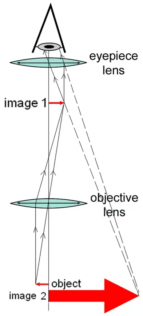 Eye, Brain, and Vision (Scientific American Library)